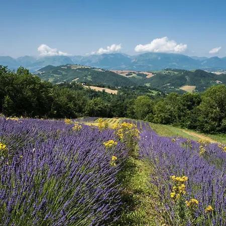 Alloggio per agriturismo Amargi